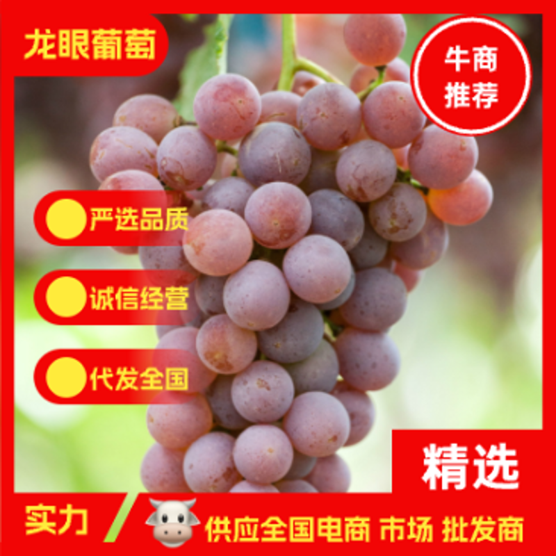 为什么选择时令水果？它们真的有那么神奇吗？