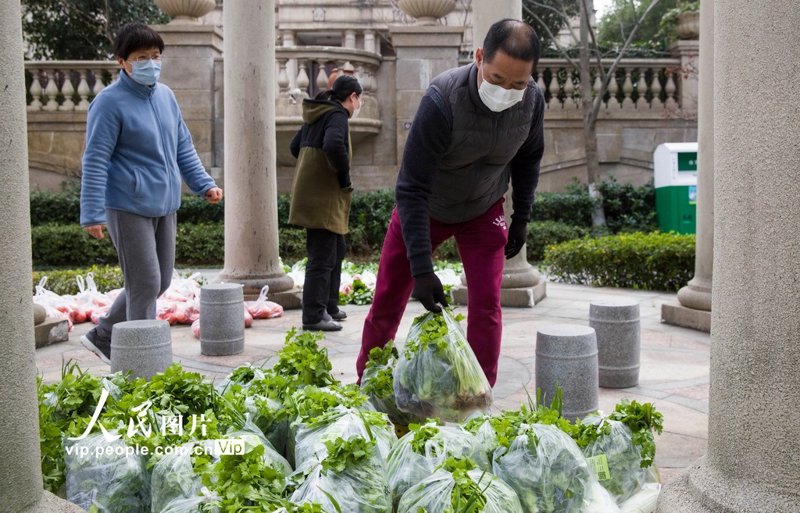 如何选择新鲜的蔬菜水果？这些小技巧你必须知道！